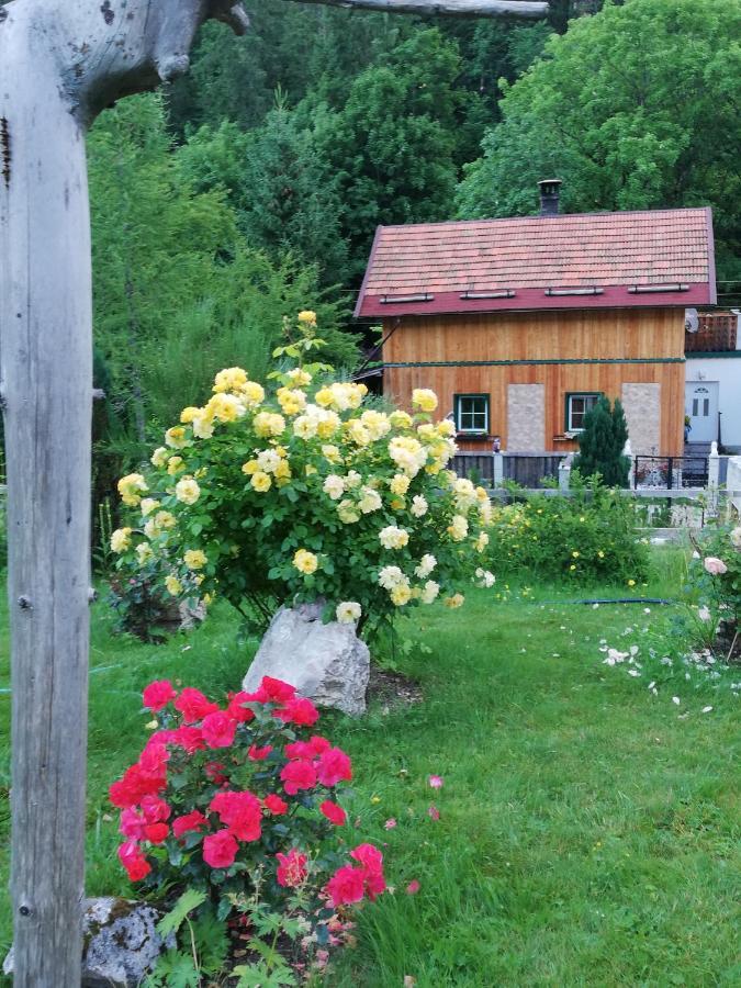 Georges Rast Villa Altaussee Kültér fotó