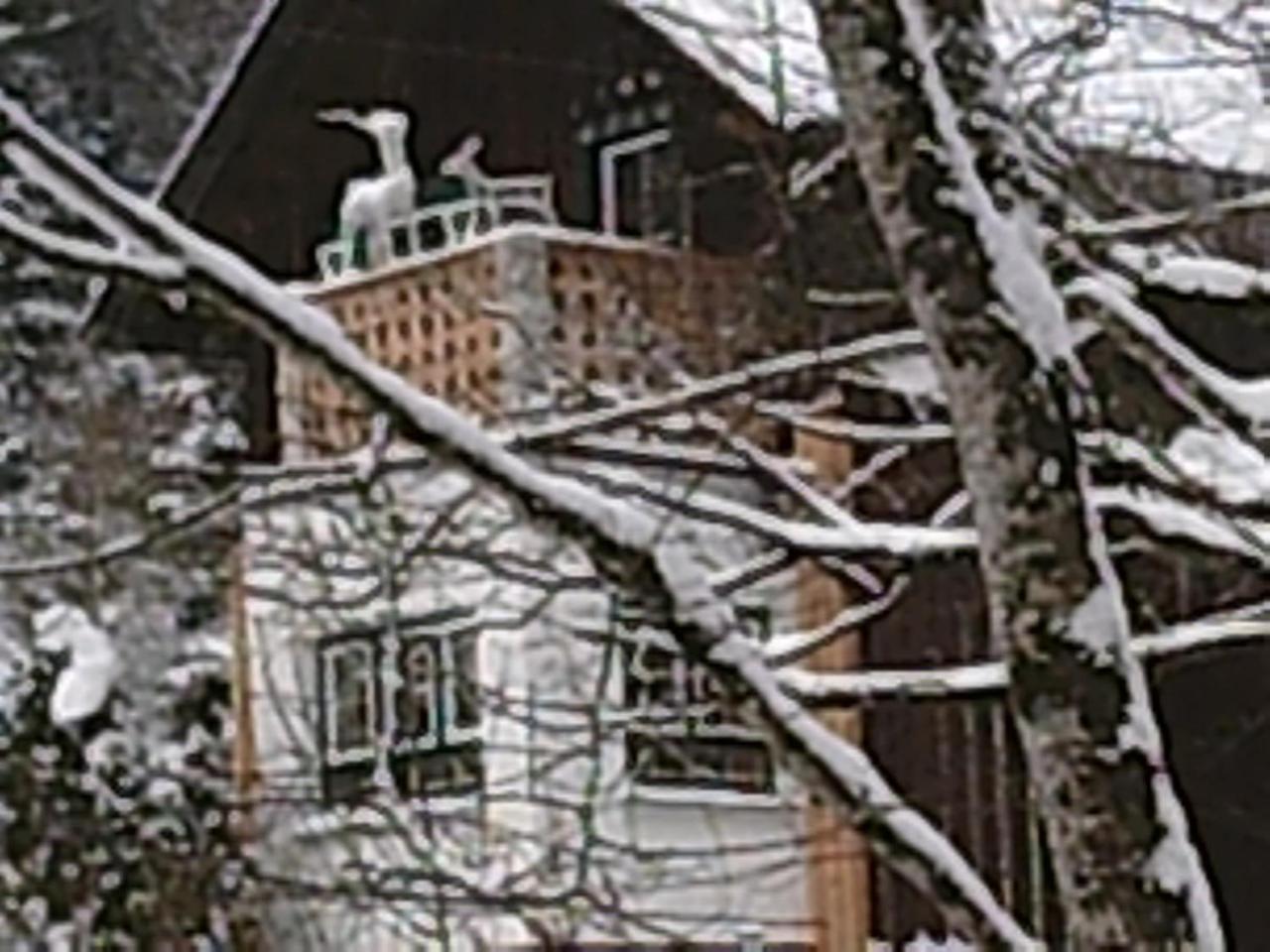 Georges Rast Villa Altaussee Kültér fotó