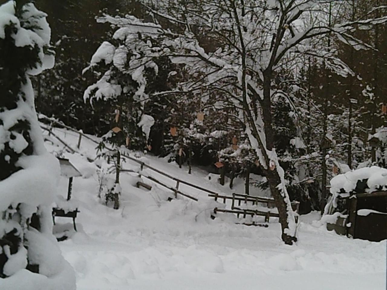 Georges Rast Villa Altaussee Kültér fotó