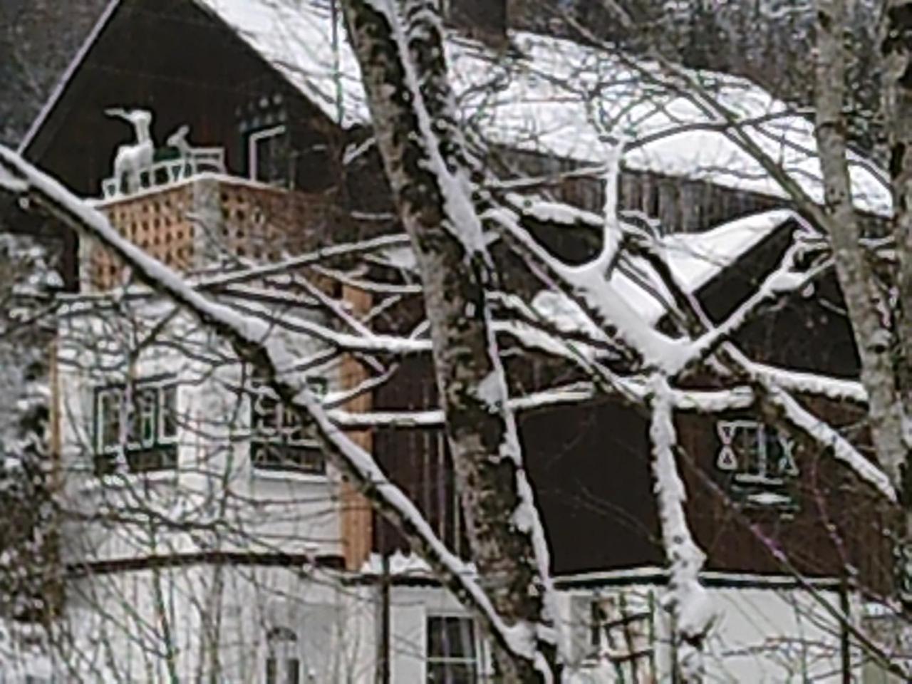 Georges Rast Villa Altaussee Kültér fotó