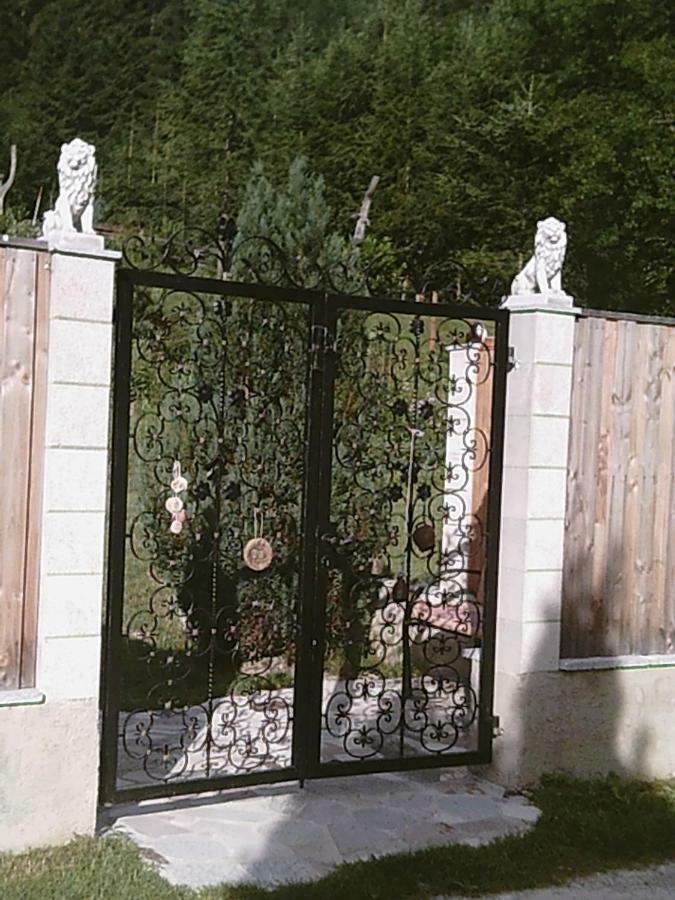 Georges Rast Villa Altaussee Kültér fotó